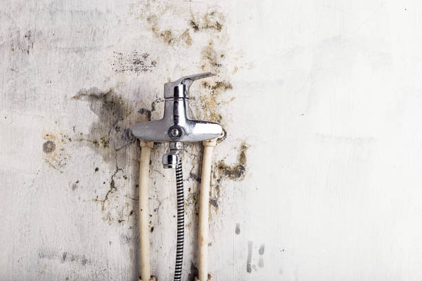 Baldwin Park, CA Mold Removal Company