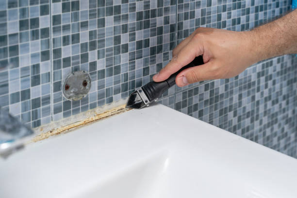 Best Mold Removal Company Near Me  in Baldwin Park, CA